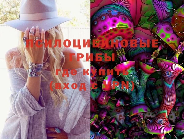 тгк Армянск