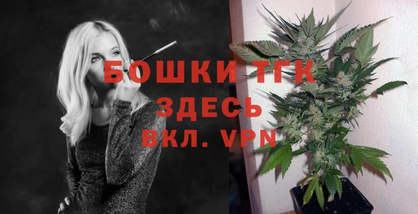 spice Арсеньев