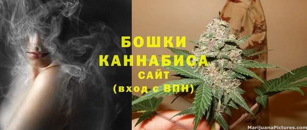 spice Арсеньев